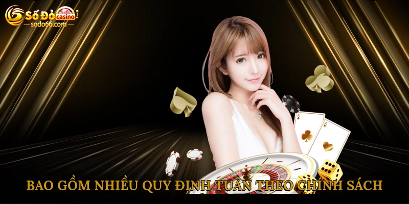 Bao gồm nhiều quy định tuân theo chính sách