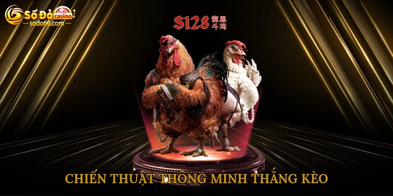 Chiến thuật thông minh thắng kèo