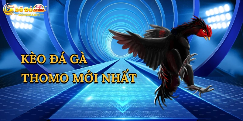Kèo Đá Gà Thomo Mới Nhất