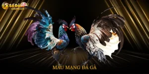 màu mạng đá gà
