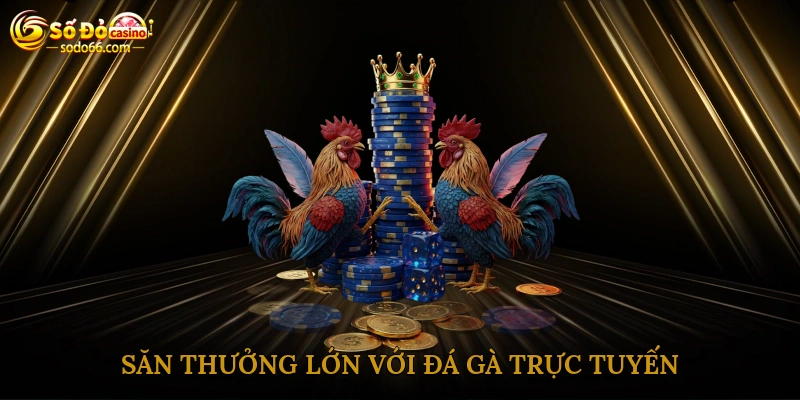 Săn thưởng lớn với đá gà trực tuyến