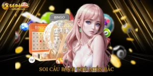 Soi cầu bạch thủ miền bắc
